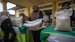 Cara Cek Bansos Beras 20 Kg dan Minyakita 4 Liter dari Bulog, Ini Jadwal dan Syaratnya!